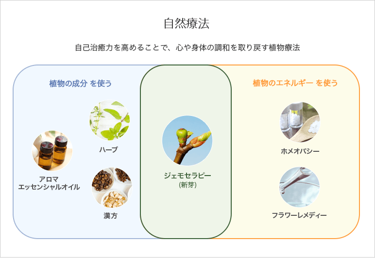 ジェモセラピーとほかの療法とのちがい