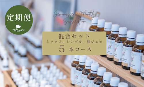 混合 5本コース