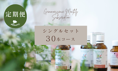 シングル 30本コース