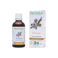 yKAizHerbiolys^`[uoAiValeriana officinalisjv