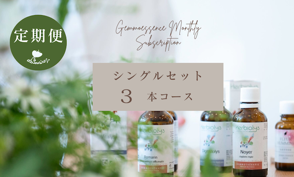 シングル 3本コース