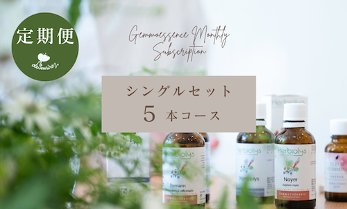 シングル 5本コース