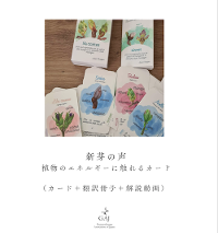 �u�V��̐��v�t���Z�b�g�i�J�[�h�{�|����q�{�������j