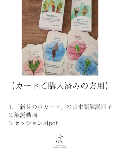 �y�J�[�h�w���ς݂̕������z �u�V��̐��v���{�����t���Z�b�g�i���q�{����{�Z�b�V����PDF�j