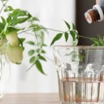 ジェモセラピー　水に垂らすだけでいい理由