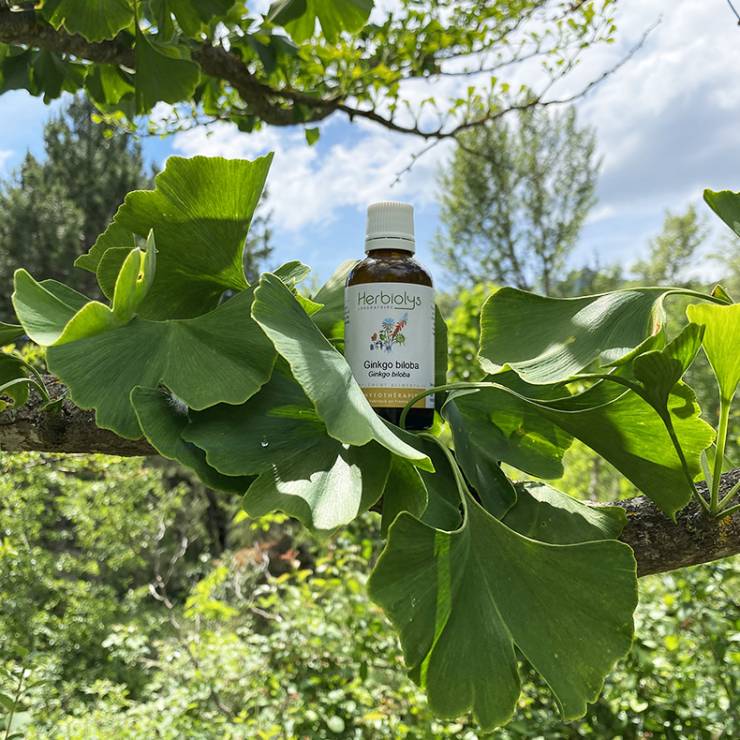 Herbiolys Ginkgo Biloba エッセンス