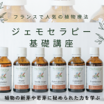 🌿 <はじめての方におすすめ>ジェモセラピー基礎講座スタート! 🌿 <はじめての方におすすめ>ジェモセラピー基礎講座スタート!