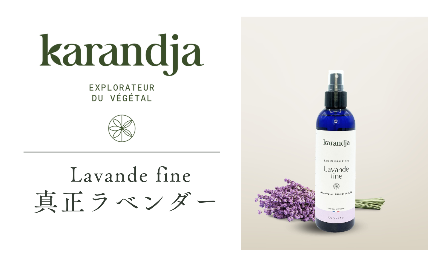 真正ラベンダー