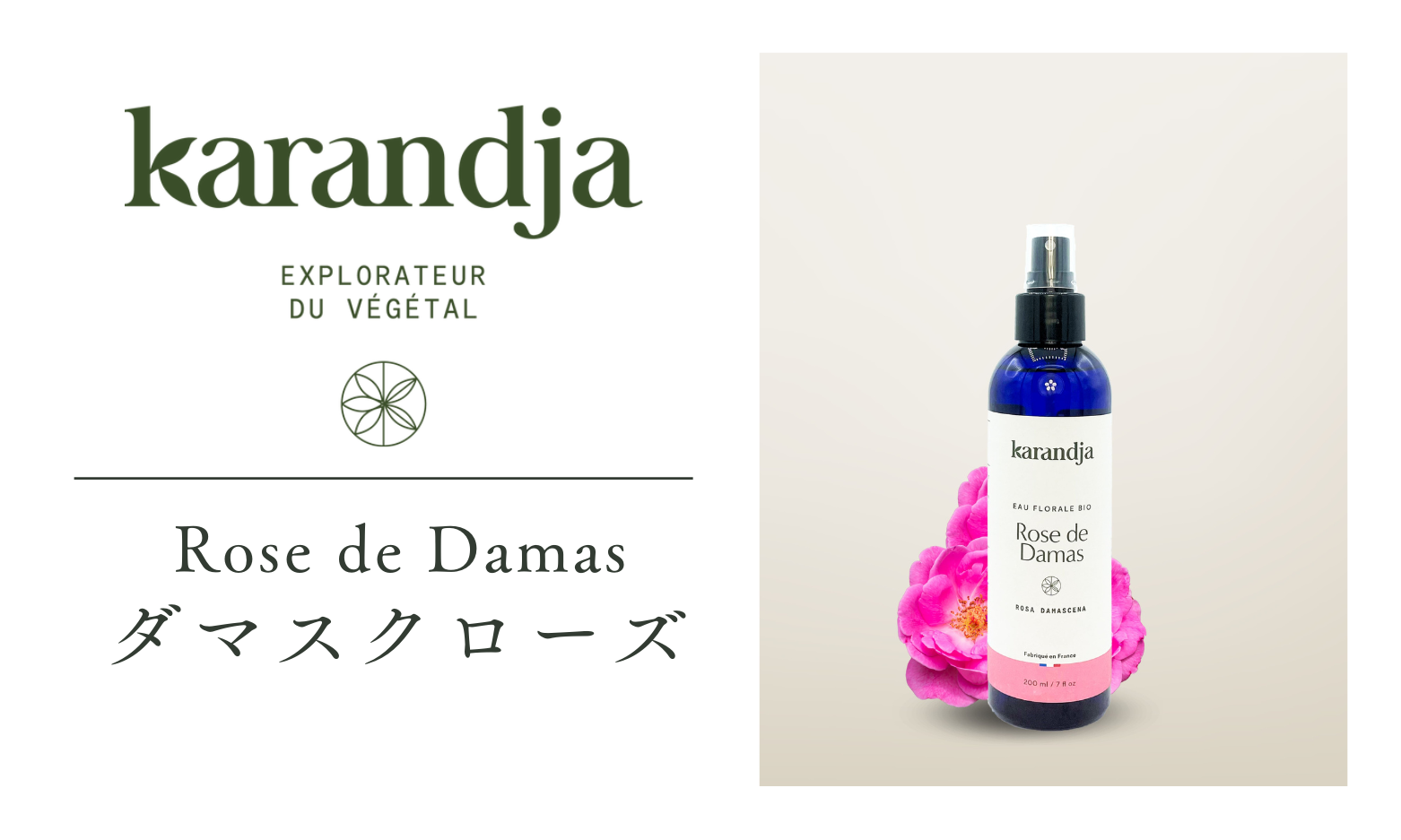 ダマスクローズ