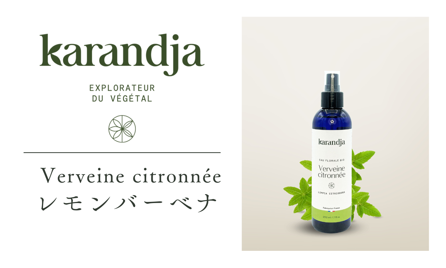 レモンバーベナ