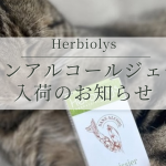 Herbiolysのノンアルコール・ジェモセラピーとは|世界でも稀少な植物抽出法と使い方・人気ランキング Herbiolysのノンアルコール・ジェモセラピーとは|世界でも稀少な植物抽出法と使い方・人気ランキング