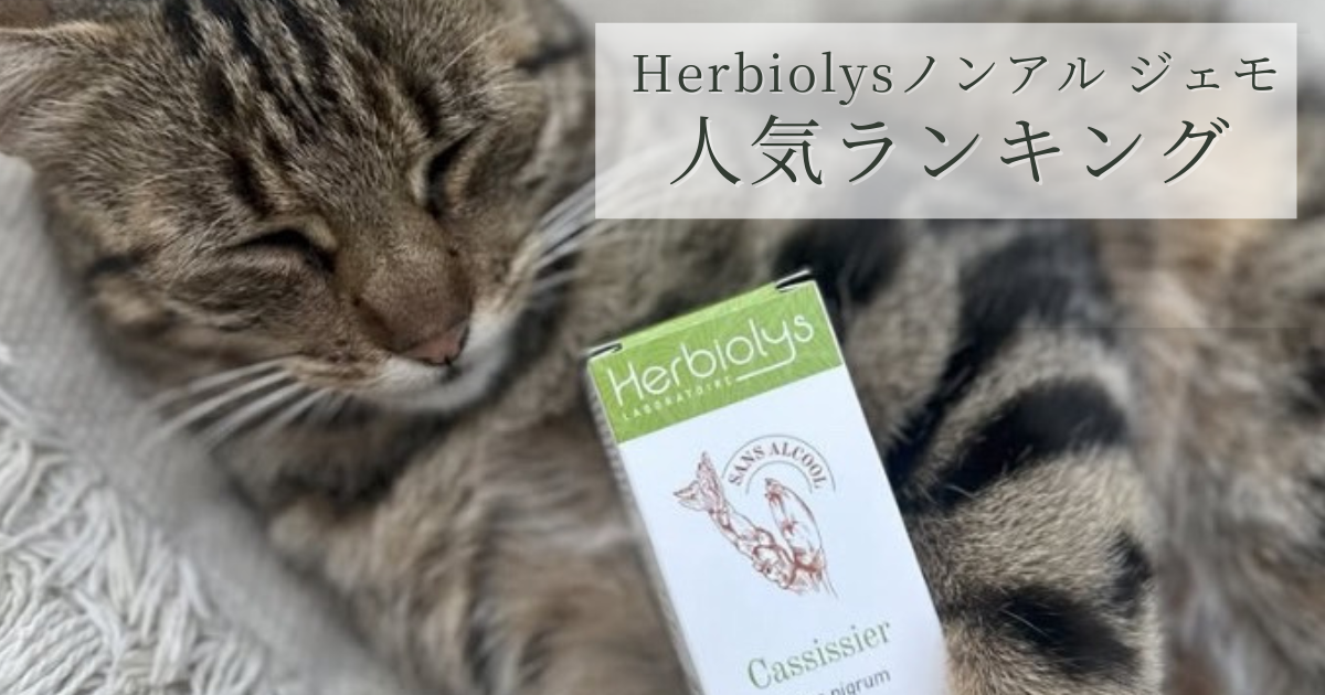 人気ランキング