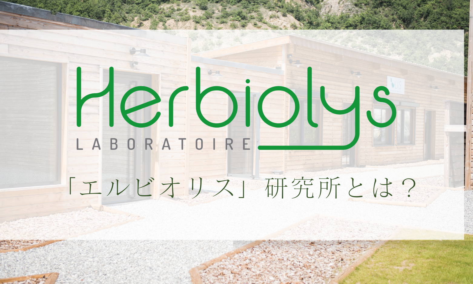 Herbiolysとは？