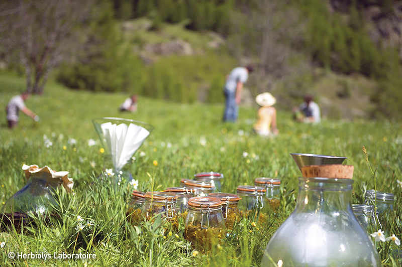 Herbiolys研究所の様子