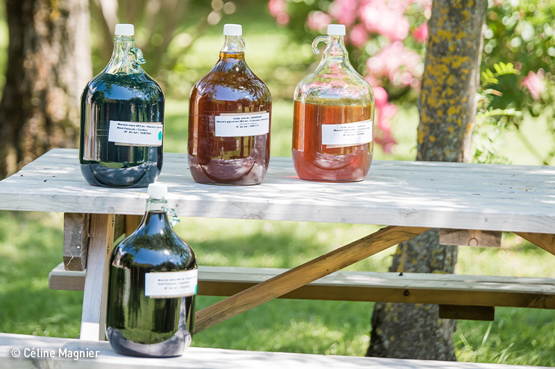 Herbiolysの植物エキス