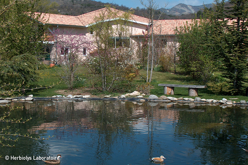 Herbiolys研究所の製造風景