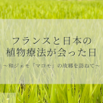 植物を“命”として見る人たち フランス「Herbiolys」と「大和ファーム」に共通していた想い 植物を“命”として見る人たち フランス「Herbiolys」と「大和ファーム」に共通していた想い