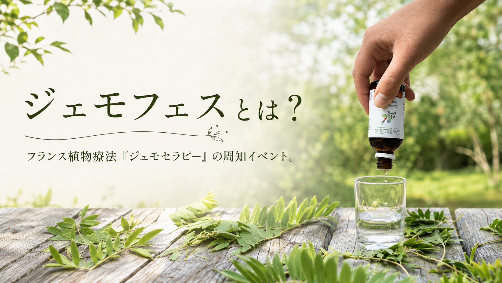 ジェモフェスとは？ フランス植物療法ジェモセラピーの周知イベント