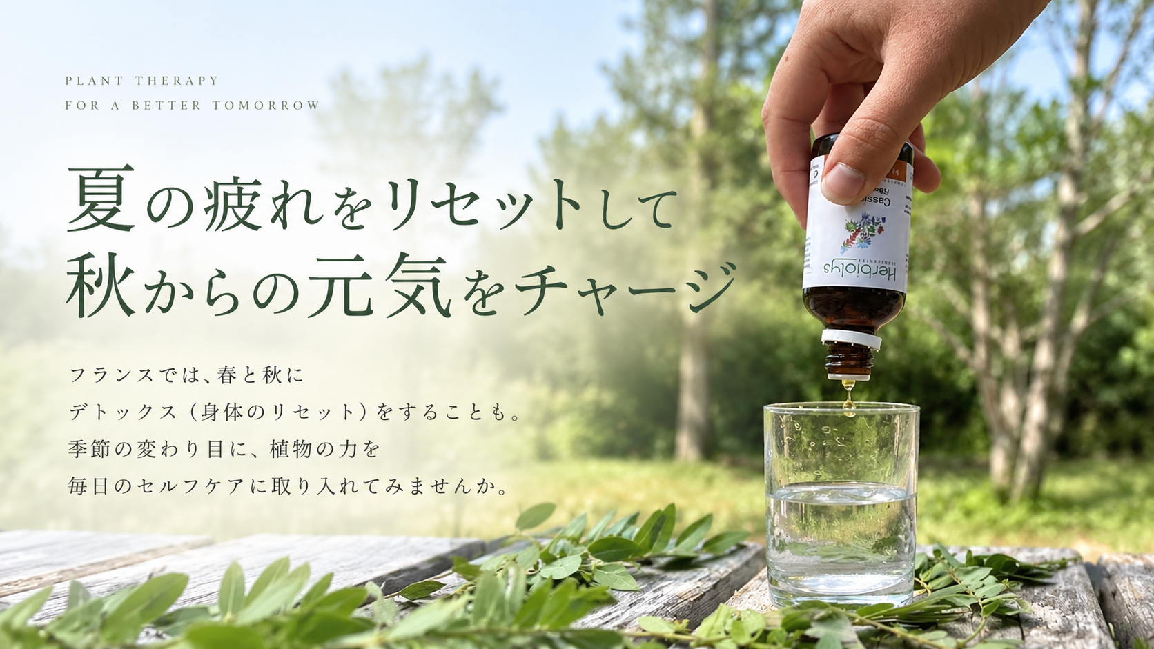 夏の疲れをリセットして秋からの元気をチャージ 植物療法