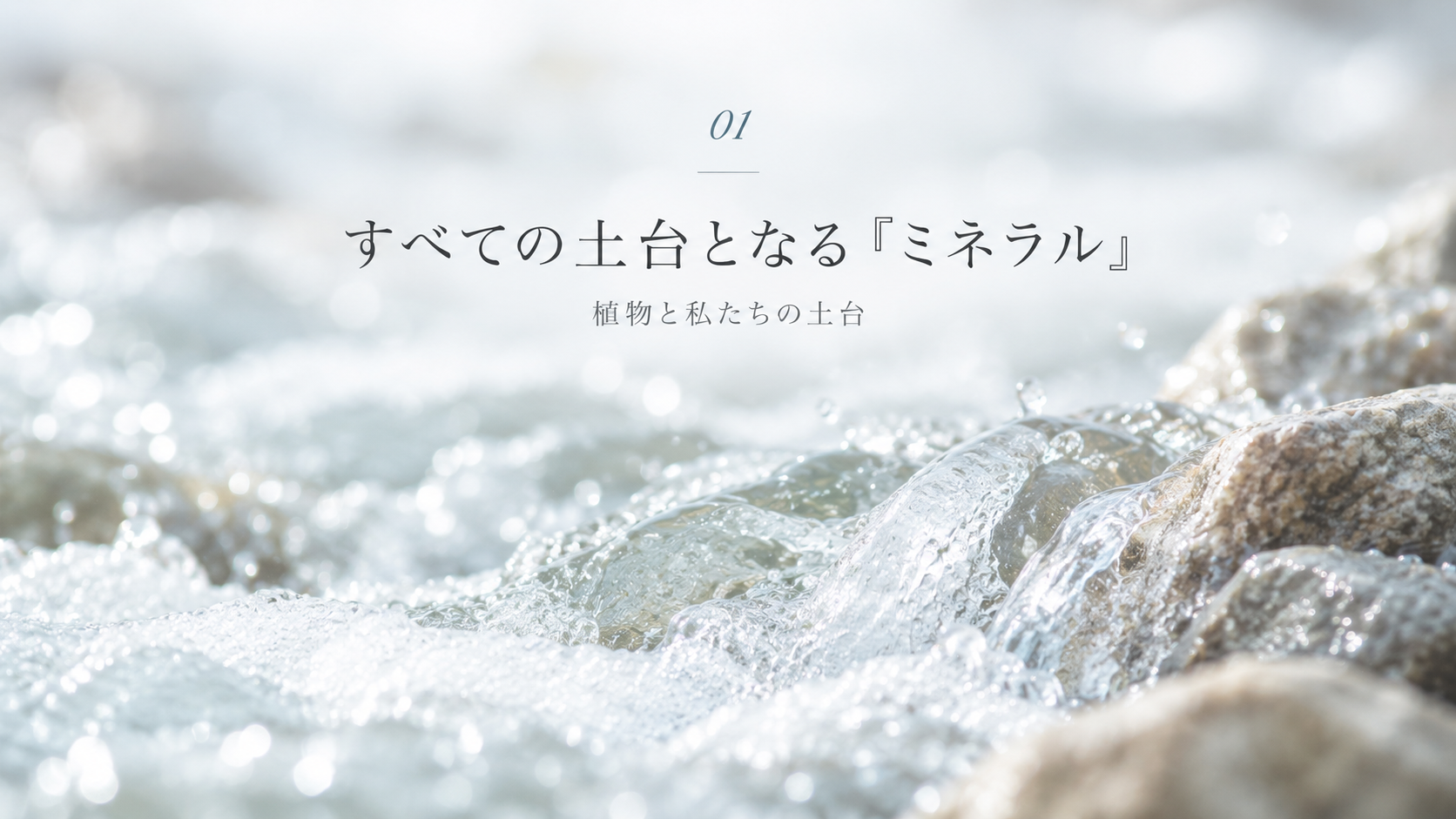 水と岩が支えるミネラルの基盤