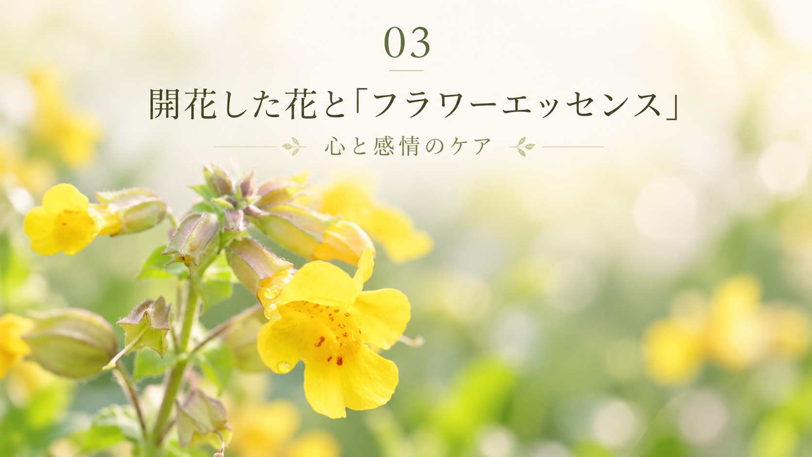 開花した花とフラワーエッセンス
