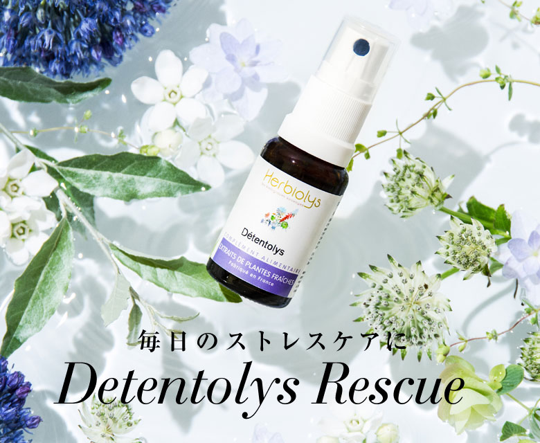 Detentolys デタントリスキュー